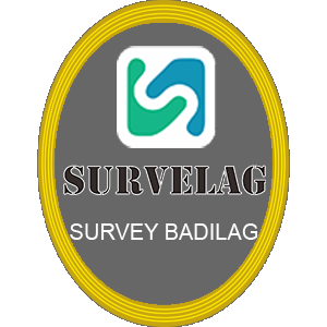 LOGO-SURVELAG